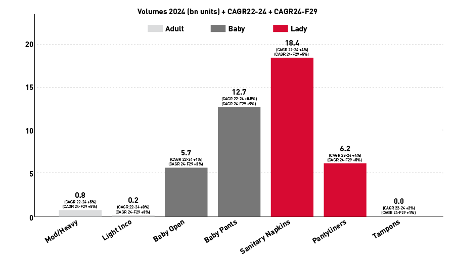 Retail disposable hygiene market data South Asia overview: 2024-2029 diagram