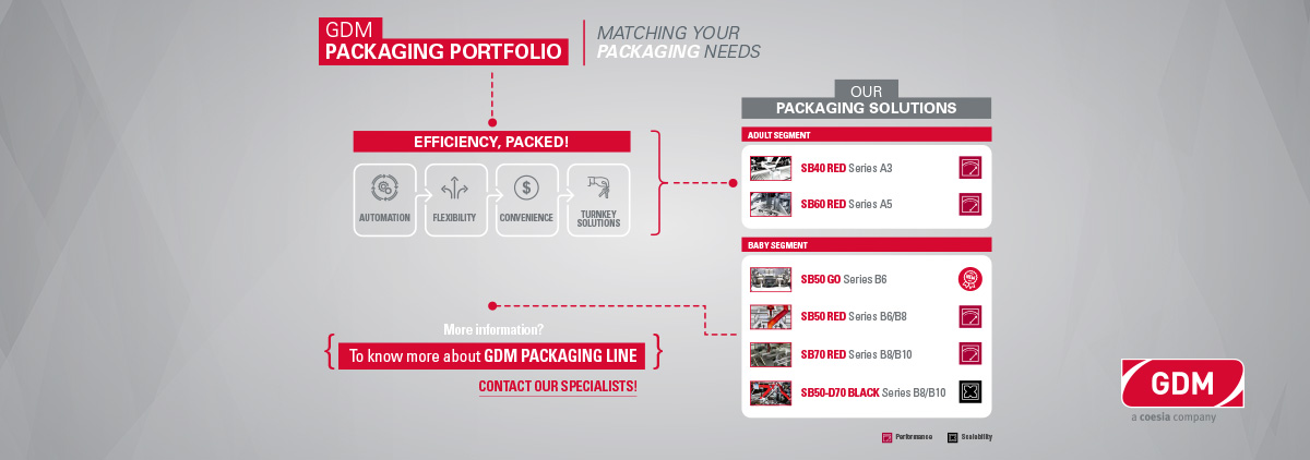 Infographics showcasing GDM packaging product portfolio