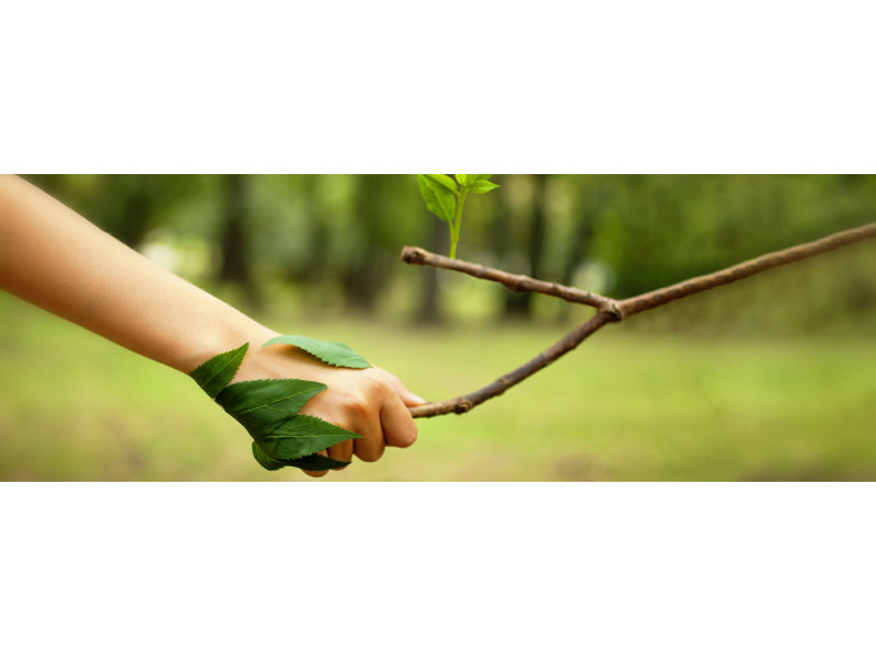 Human shaking hands with a branch