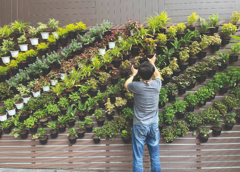 Committed to Sustainability
