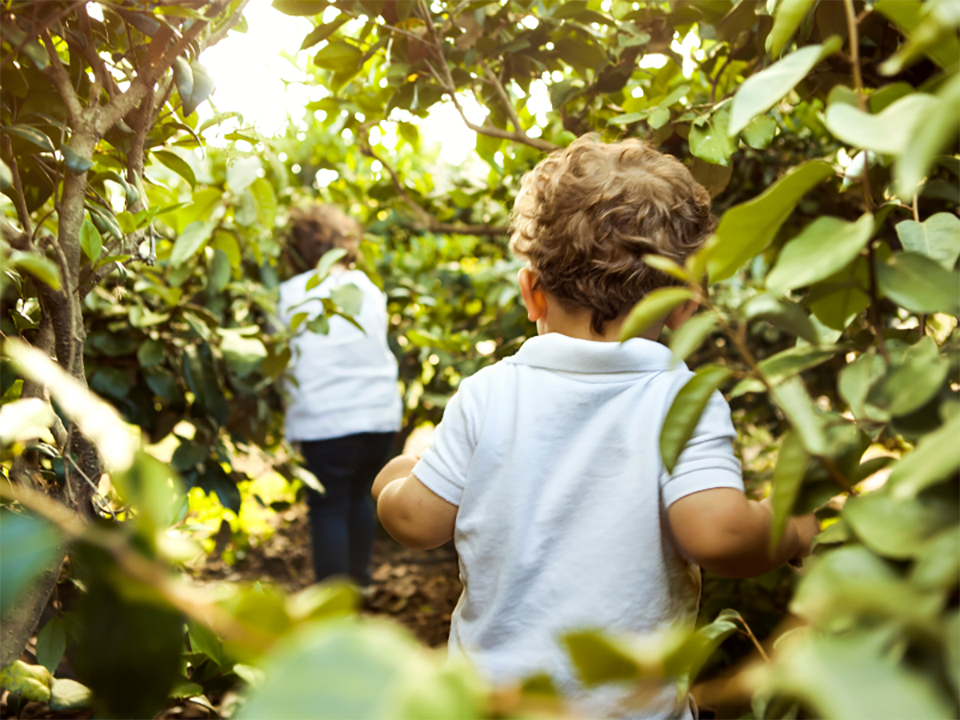 Technologies for a greener future in disposable hygiene